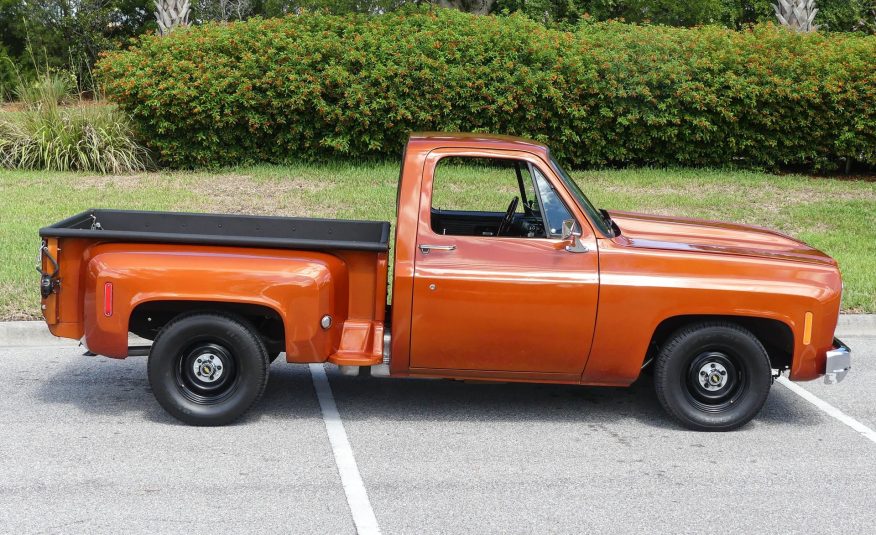 1976 Chevrolet C10